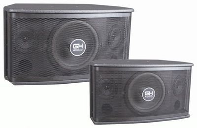 供應(yīng)歌皇音響燈光ktv設(shè)備專業(yè)gh-802音箱 - 中國制造交易網(wǎng)