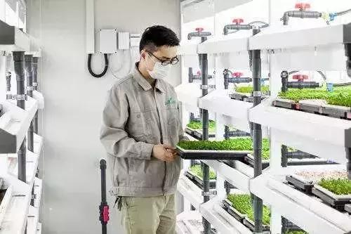 京東要建 植物工廠 水培蔬菜是下一個(gè)藍(lán)海